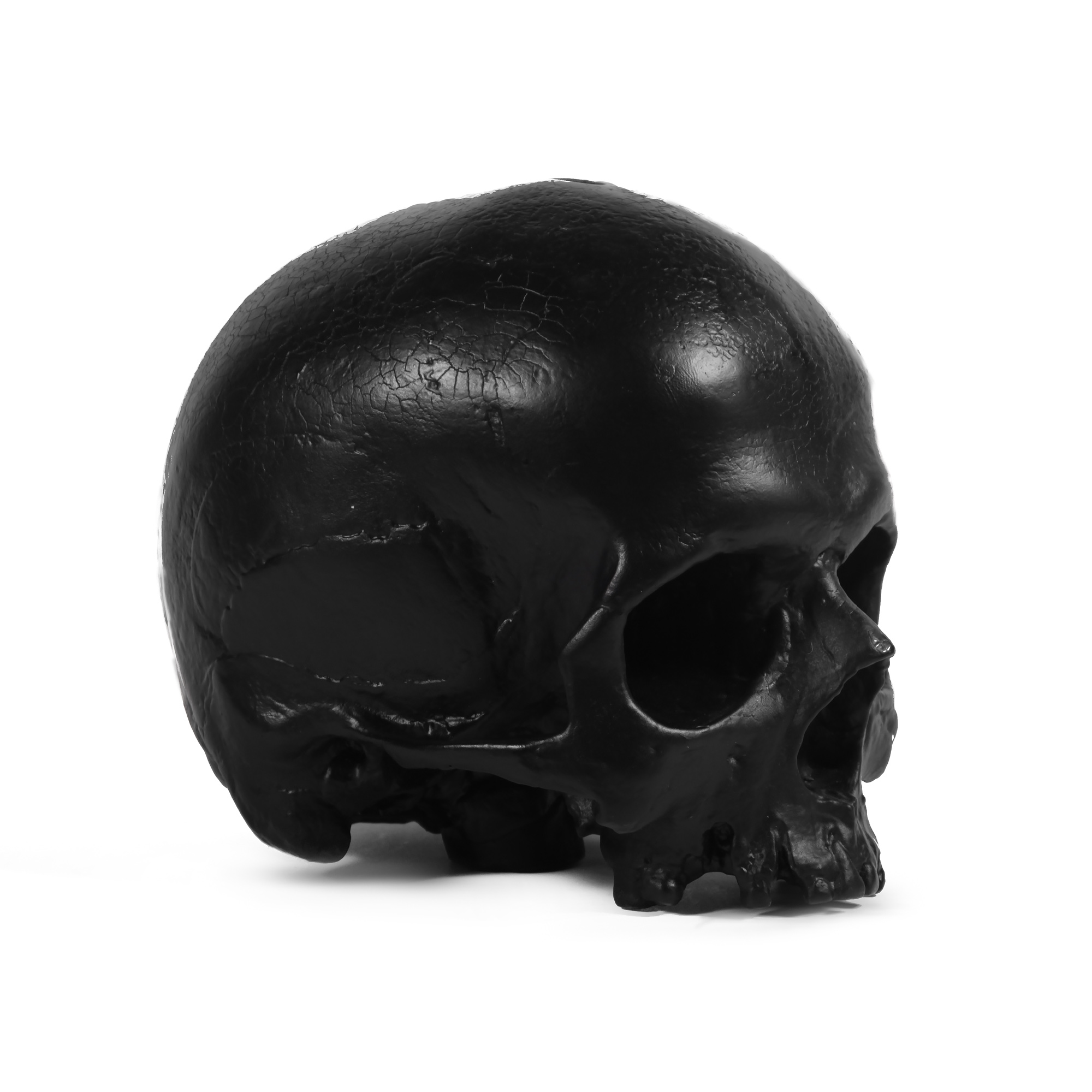 Чёрный череп без челюсти (реплика) — копилка