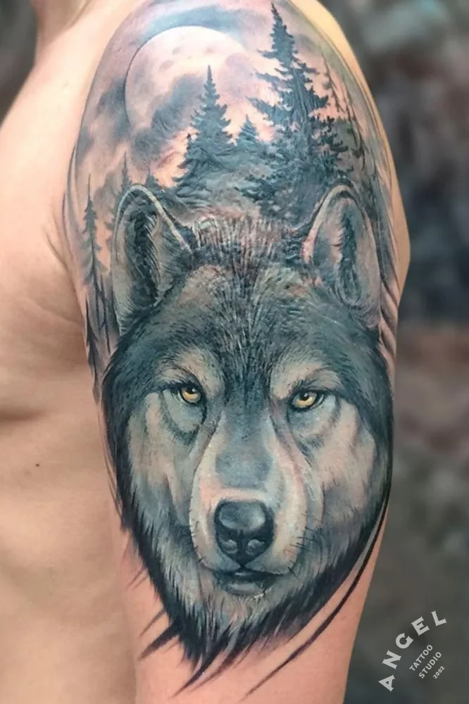 Wolf forest