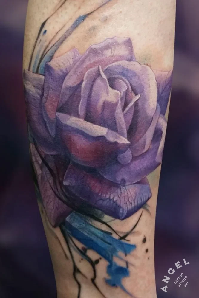 Violet Rose Flower