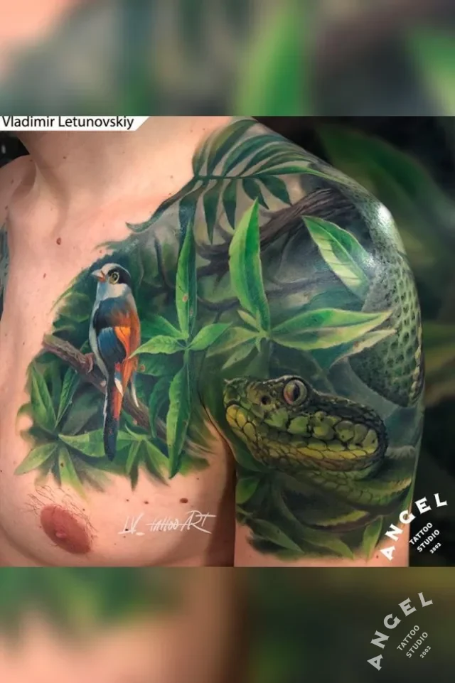 Parrot Snake Leaves